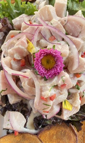 Ceviche